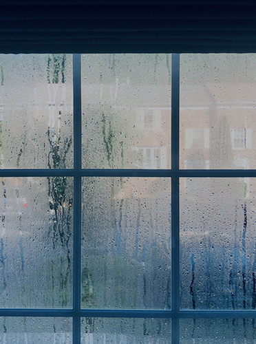 condensation on windows